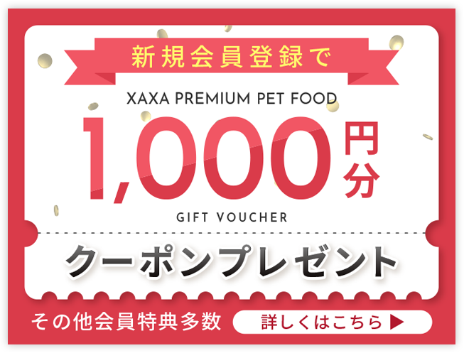 新規会員登録で1,000円分のクーポンプレゼント
