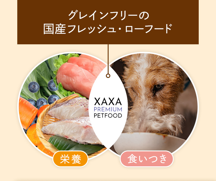 「グレインフリーの国産フレッシュ＆ローフード」で栄養と食いつきを両立