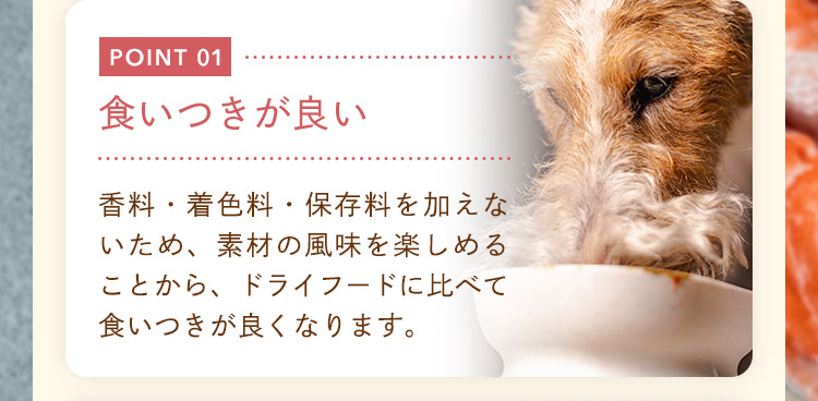 POINT1：ドライフード（カリカリ）に比べて食いつきがいい！
