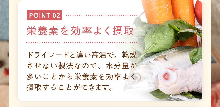 POINT2：乾燥させないので水分量が多く、栄養素を効率よく摂取！